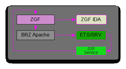ZGF Service Assertion